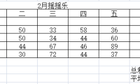 小五 2025年2月份摇摇乐统计表