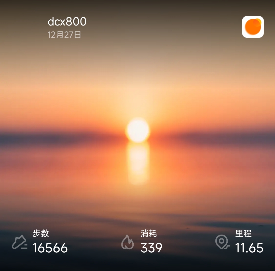 Screenshot_2024-12-27-19-38-50-849-edit_com.xiaomi.hm.health.jpg